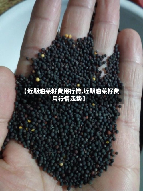 【近期油菜籽费用行情,近期油菜籽费用行情走势】