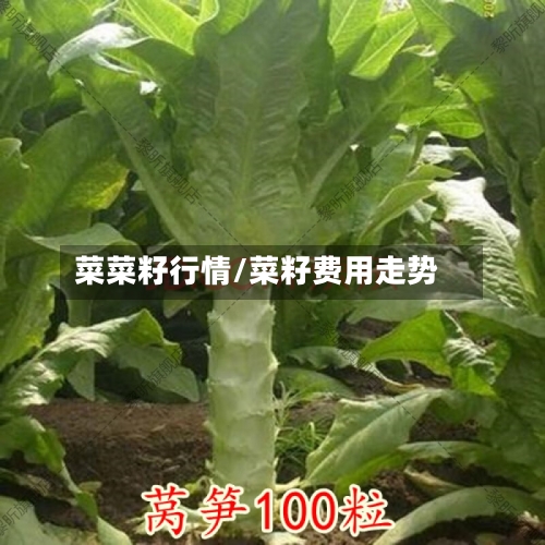 菜菜籽行情/菜籽费用走势-第3张图片