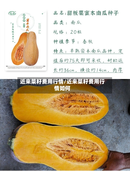 近来菜籽费用行情/近来菜籽费用行情如何