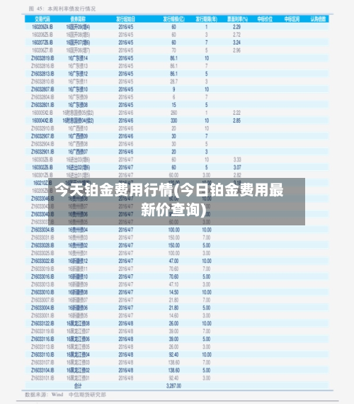今天铂金费用行情(今日铂金费用最新价查询)-第2张图片