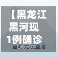 【黑龙江黑河现1例确诊,黑龙江黑河新增确诊病例】-第2张图片