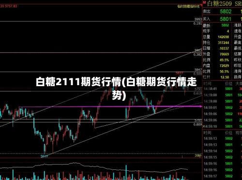 白糖2111期货行情(白糖期货行情走势)-第3张图片