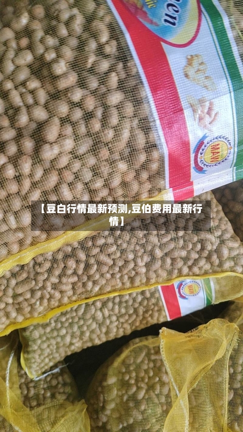 【豆白行情最新预测,豆伯费用最新行情】-第3张图片