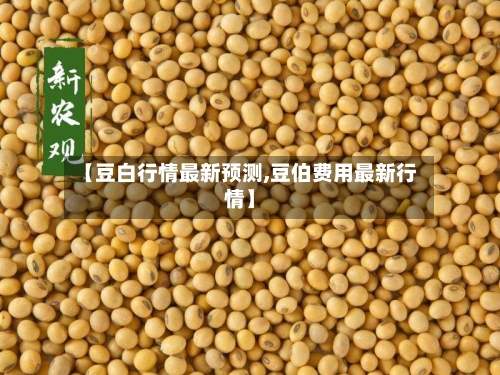 【豆白行情最新预测,豆伯费用最新行情】-第2张图片