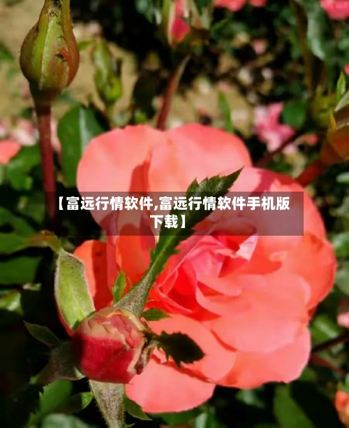 【富远行情软件,富远行情软件手机版下载】