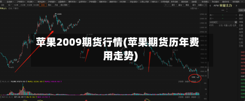 苹果2009期货行情(苹果期货历年费用走势)-第2张图片