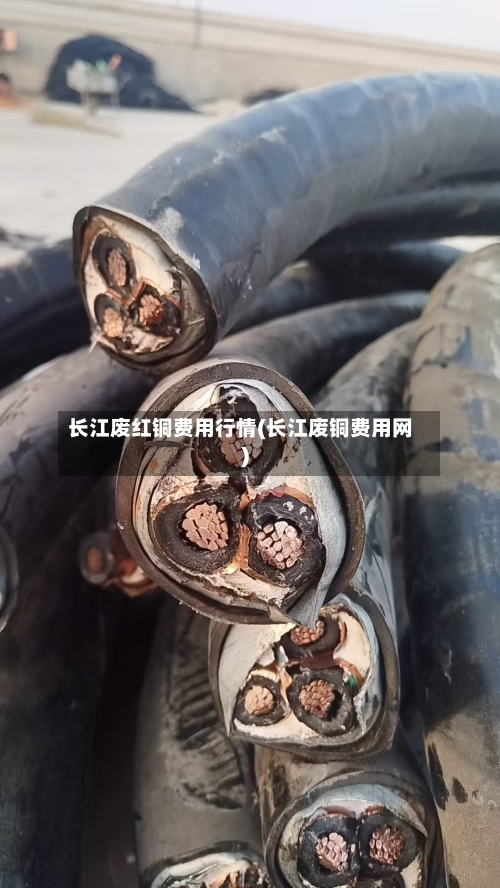 长江废红铜费用行情(长江废铜费用网)-第2张图片
