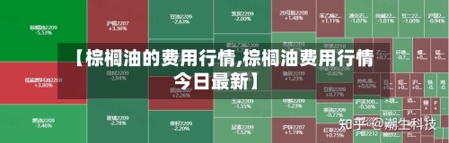 【棕榈油的费用行情,棕榈油费用行情今日最新】