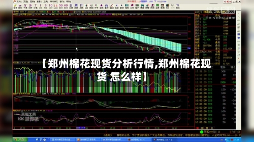 【郑州棉花现货分析行情,郑州棉花现货 怎么样】