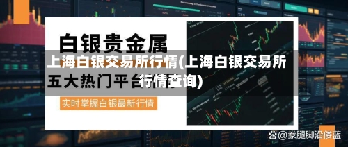 上海白银交易所行情(上海白银交易所行情查询)
