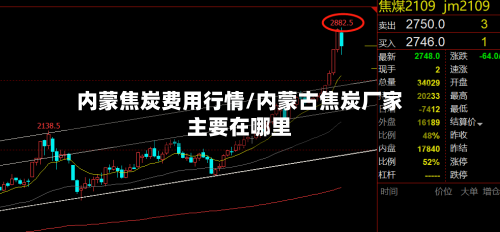 内蒙焦炭费用行情/内蒙古焦炭厂家主要在哪里-第2张图片
