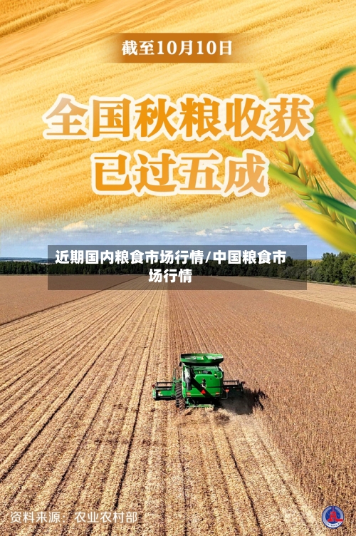 近期国内粮食市场行情/中国粮食市场行情