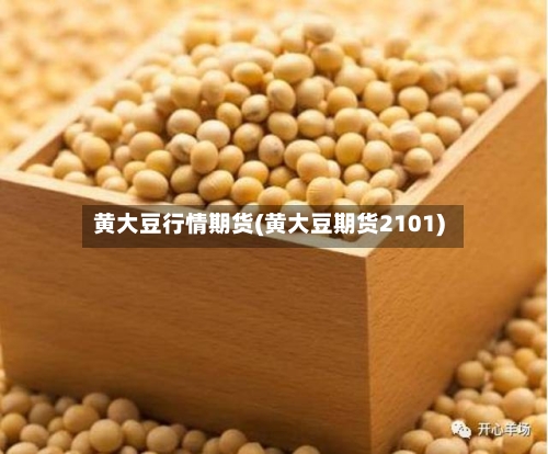 黄大豆行情期货(黄大豆期货2101)
