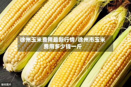 徐州玉米费用最新行情/徐州市玉米费用多少钱一斤