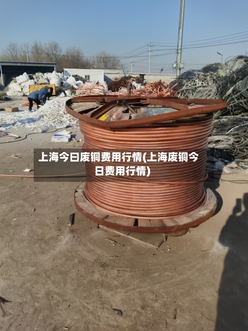 上海今曰废铜费用行情(上海废铜今日费用行情)-第2张图片