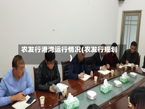 农发行港湾运行情况(农发行规划)