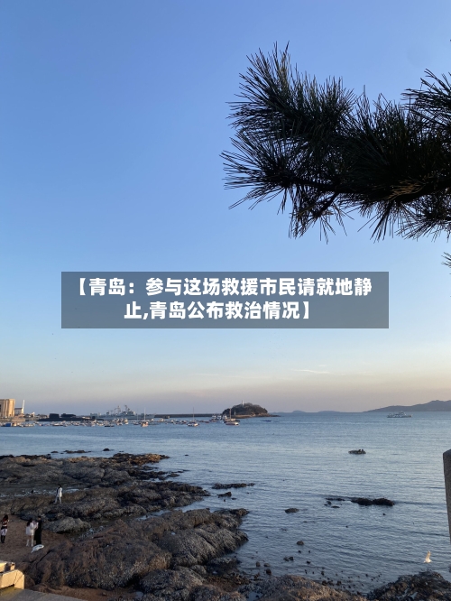 【青岛：参与这场救援市民请就地静止,青岛公布救治情况】-第3张图片