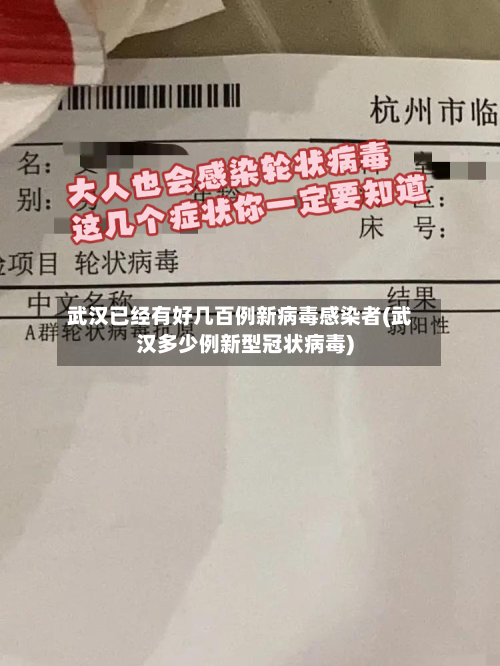 武汉已经有好几百例新病毒感染者(武汉多少例新型冠状病毒)-第3张图片