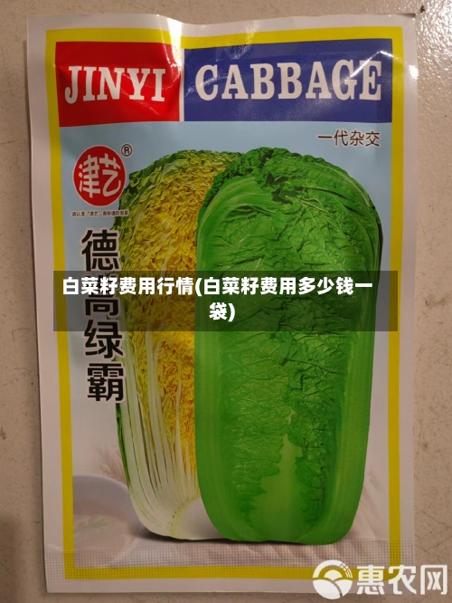 白菜籽费用行情(白菜籽费用多少钱一袋)