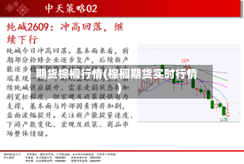 期货棕榈行情(棕榈期货实时行情)