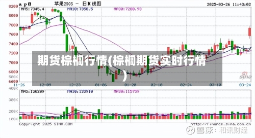 期货棕榈行情(棕榈期货实时行情)-第3张图片
