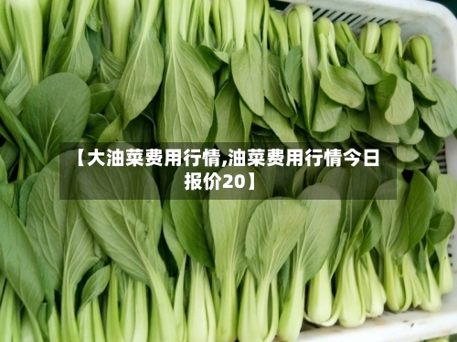 【大油菜费用行情,油菜费用行情今日报价20】