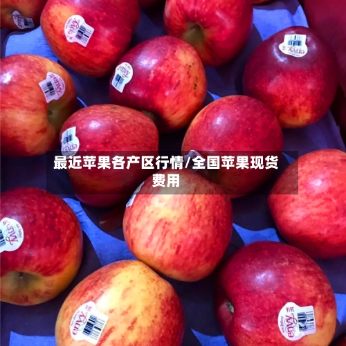 最近苹果各产区行情/全国苹果现货费用-第2张图片