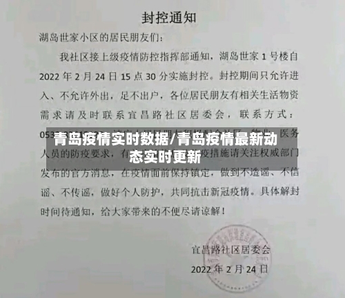 青岛疫情实时数据/青岛疫情最新动态实时更新-第3张图片