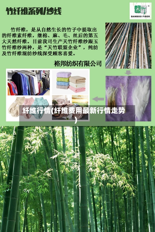 纤维行情(纤维费用最新行情走势)