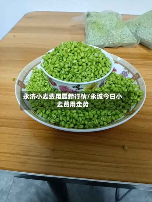 永济小麦费用最新行情/永城今日小麦费用走势-第2张图片