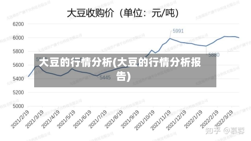 大豆的行情分析(大豆的行情分析报告)