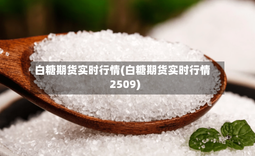 白糖期货实时行情(白糖期货实时行情2509)