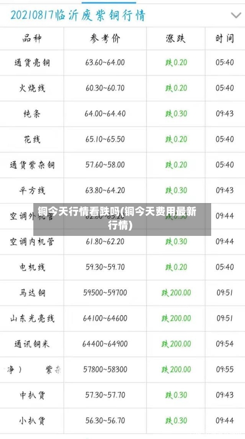 铜今天行情看跌吗(铜今天费用最新行情)-第2张图片