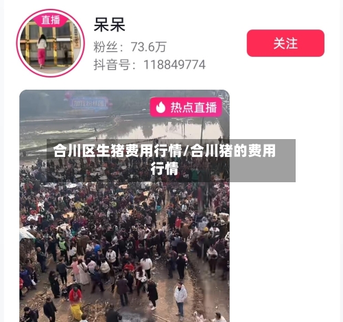 合川区生猪费用行情/合川猪的费用行情-第2张图片