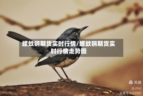螺蚊钢期货实时行情/螺蚊钢期货实时行情走势图