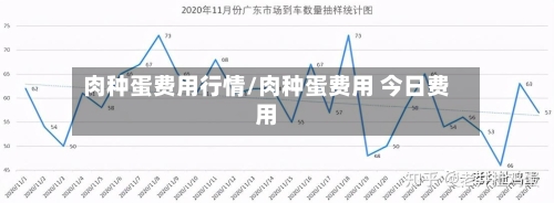肉种蛋费用行情/肉种蛋费用 今日费用