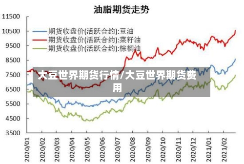 大豆世界期货行情/大豆世界期货费用