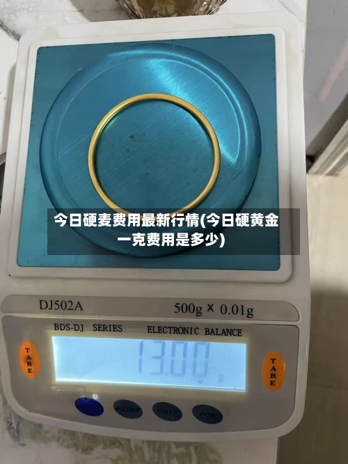 今日硬麦费用最新行情(今日硬黄金一克费用是多少)