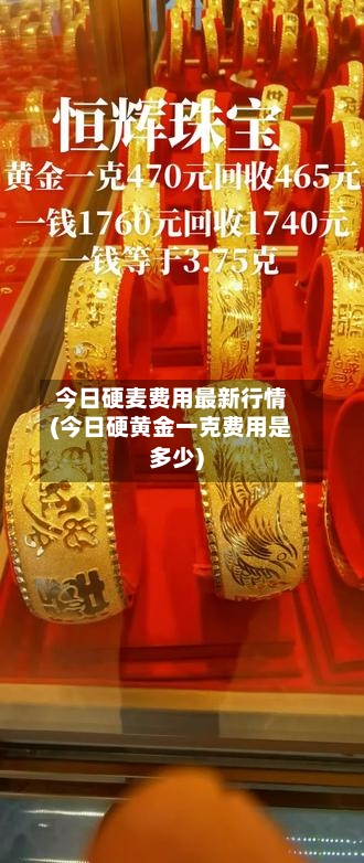 今日硬麦费用最新行情(今日硬黄金一克费用是多少)-第3张图片