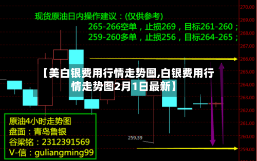【美白银费用行情走势图,白银费用行情走势图2月1日最新】