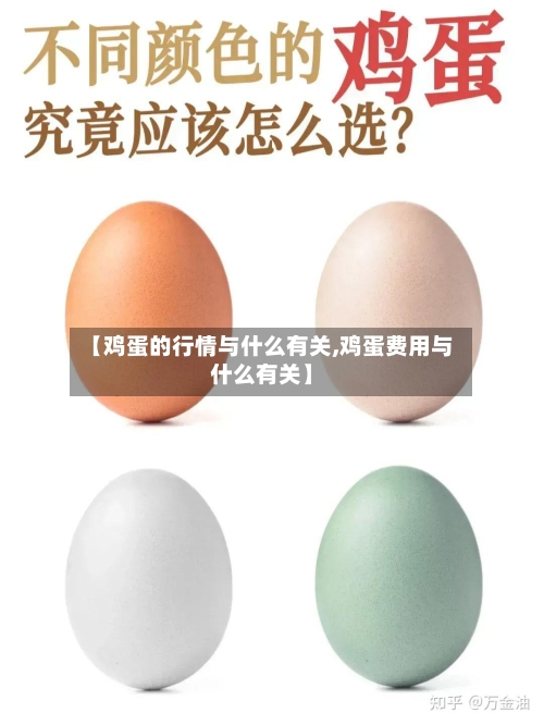 【鸡蛋的行情与什么有关,鸡蛋费用与什么有关】-第2张图片