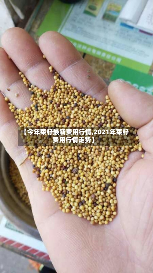 【今年菜籽最新费用行情,2021年菜籽费用行情走势】