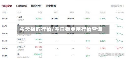 今天锡的行情/今日锡费用行情查询-第3张图片