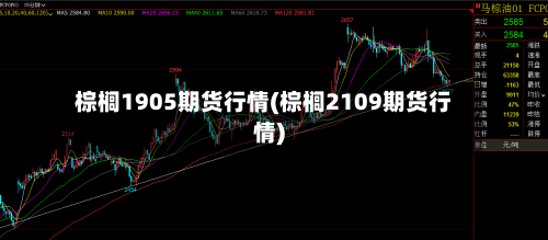 棕榈1905期货行情(棕榈2109期货行情)