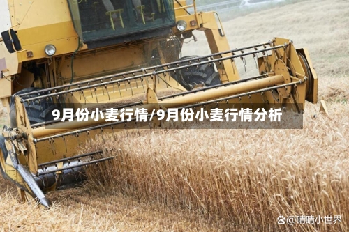 9月份小麦行情/9月份小麦行情分析-第2张图片