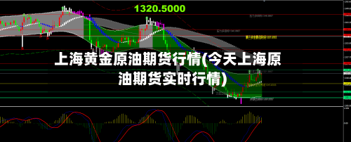 上海黄金原油期货行情(今天上海原油期货实时行情)
