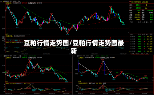 豆粕行情走势图/豆粕行情走势图最新