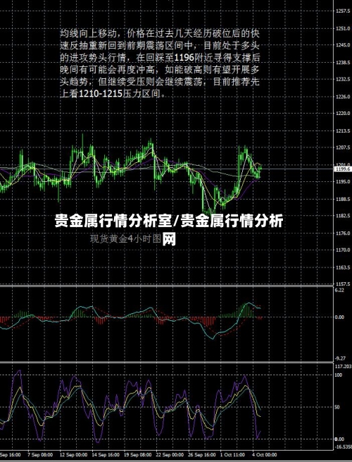贵金属行情分析室/贵金属行情分析网-第2张图片