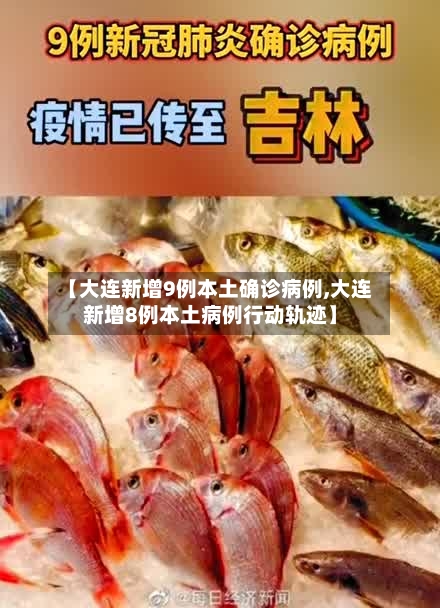 【大连新增9例本土确诊病例,大连新增8例本土病例行动轨迹】-第2张图片