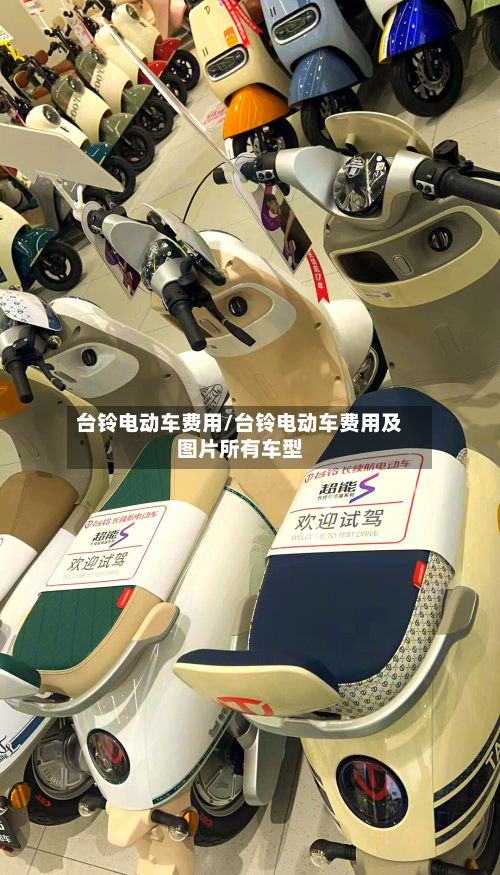 台铃电动车费用/台铃电动车费用及图片所有车型-第2张图片